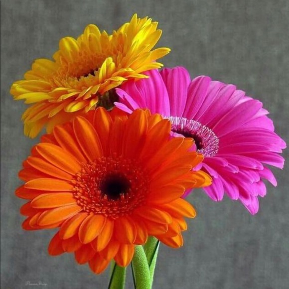 Bundle and Save! π· - Picture 1 of 1